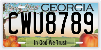 GA license plate CWU8789