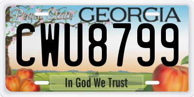 GA license plate CWU8799