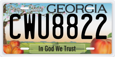 GA license plate CWU8822