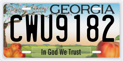 GA license plate CWU9182
