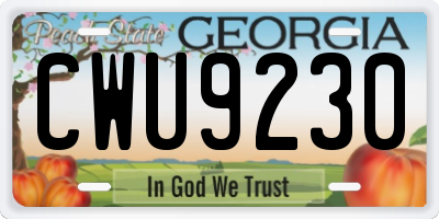 GA license plate CWU9230