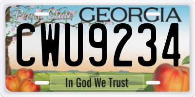GA license plate CWU9234