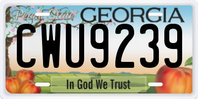 GA license plate CWU9239