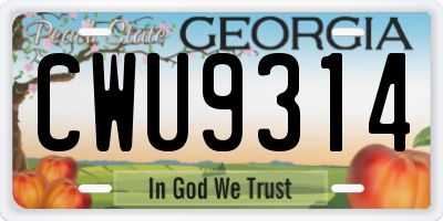 GA license plate CWU9314