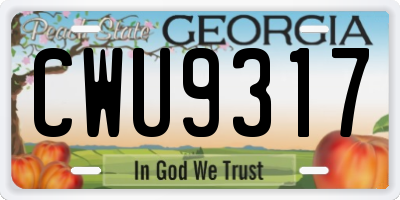 GA license plate CWU9317