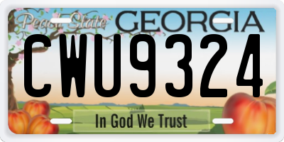 GA license plate CWU9324