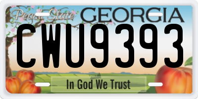 GA license plate CWU9393