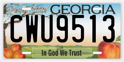 GA license plate CWU9513