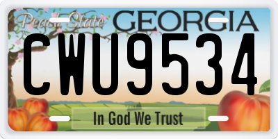 GA license plate CWU9534