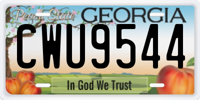 GA license plate CWU9544