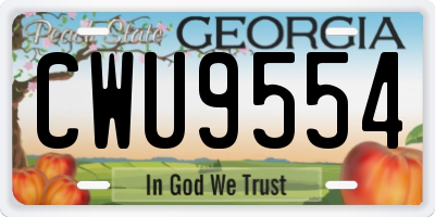 GA license plate CWU9554