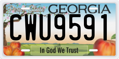 GA license plate CWU9591