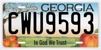 GA license plate CWU9593