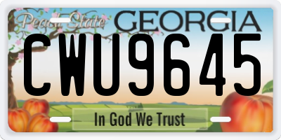 GA license plate CWU9645