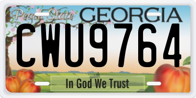 GA license plate CWU9764