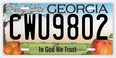 GA license plate CWU9802