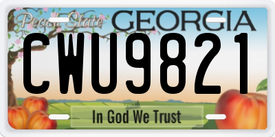 GA license plate CWU9821