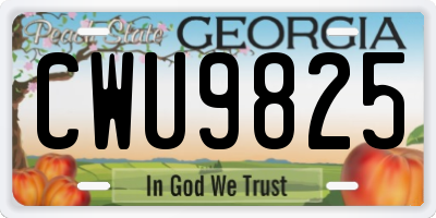 GA license plate CWU9825