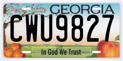GA license plate CWU9827
