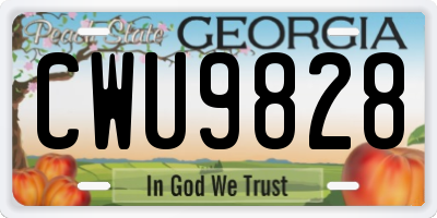 GA license plate CWU9828
