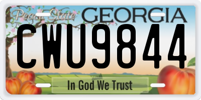 GA license plate CWU9844
