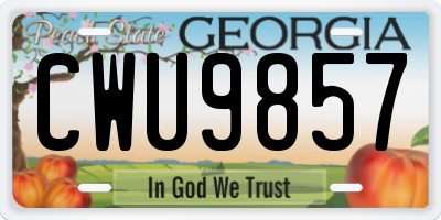 GA license plate CWU9857