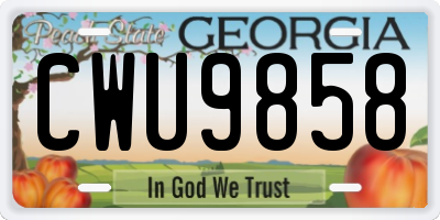 GA license plate CWU9858