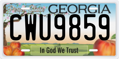 GA license plate CWU9859