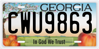GA license plate CWU9863