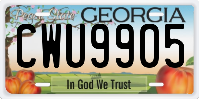 GA license plate CWU9905