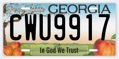 GA license plate CWU9917