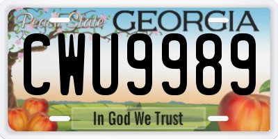 GA license plate CWU9989