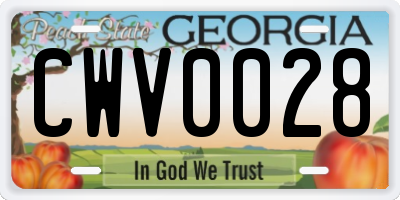 GA license plate CWV0028