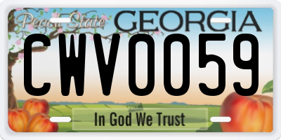 GA license plate CWV0059