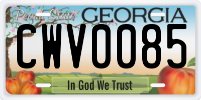 GA license plate CWV0085