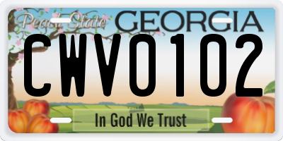 GA license plate CWV0102