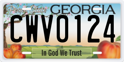 GA license plate CWV0124
