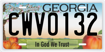 GA license plate CWV0132