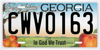 GA license plate CWV0163