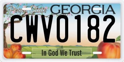 GA license plate CWV0182