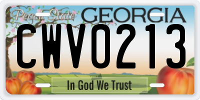 GA license plate CWV0213