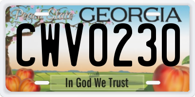 GA license plate CWV0230