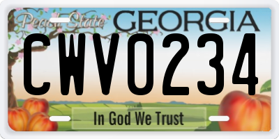 GA license plate CWV0234