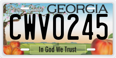 GA license plate CWV0245