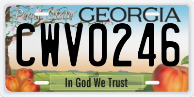 GA license plate CWV0246