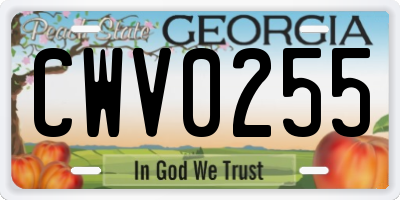 GA license plate CWV0255