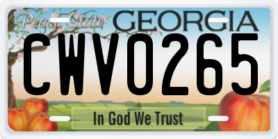 GA license plate CWV0265