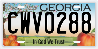 GA license plate CWV0288