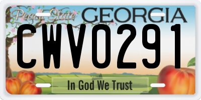 GA license plate CWV0291