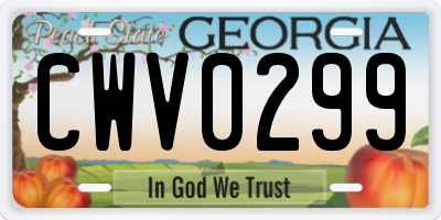 GA license plate CWV0299